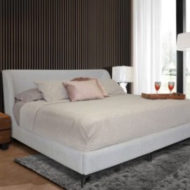 CAMA K.S. ANABELLE OYSTER