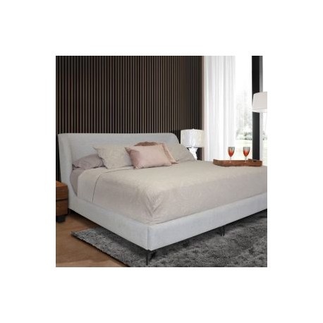 CAMA K.S. ANABELLE OYSTER